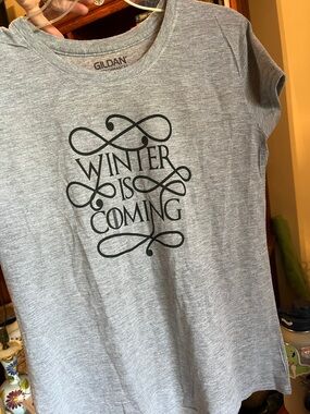 Gildan Gray Tee with Black "Winter Is Coming" Graphic